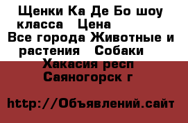 Щенки Ка Де Бо шоу класса › Цена ­ 60 000 - Все города Животные и растения » Собаки   . Хакасия респ.,Саяногорск г.